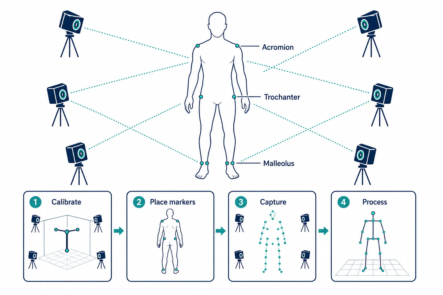 Diagram of a marker-based motion capture setup showing anatomical markers, infrared cameras and the capture workflow steps