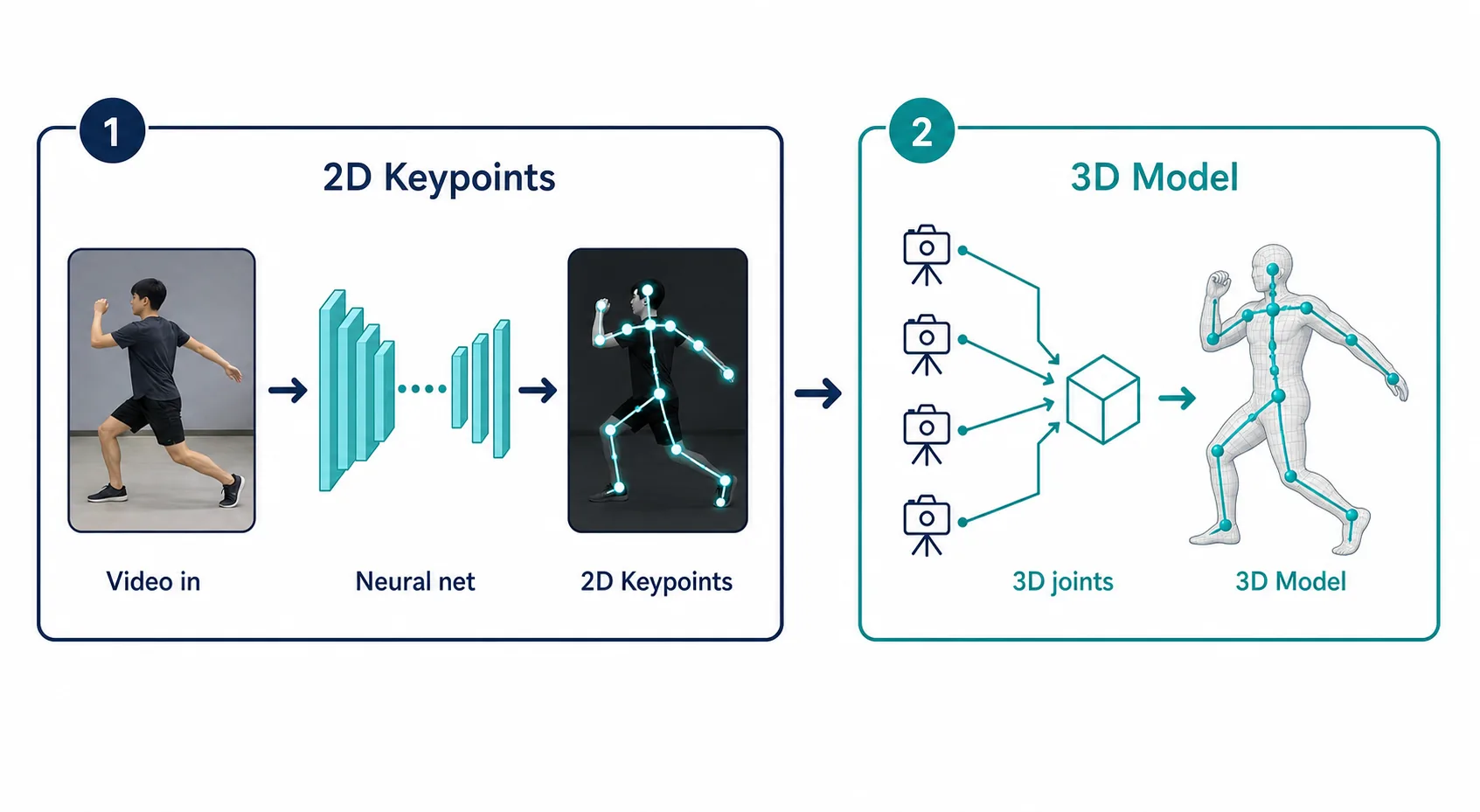 Diagram of the markerless motion capture pipeline from 2D keypoint detection to reconstructed 3D joint model
