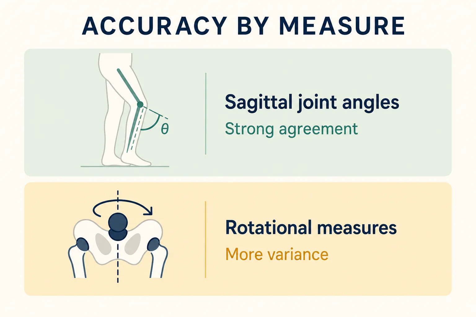 Infographic showing markerless motion capture has strong agreement for sagittal joint angles but more variance for rotational measures