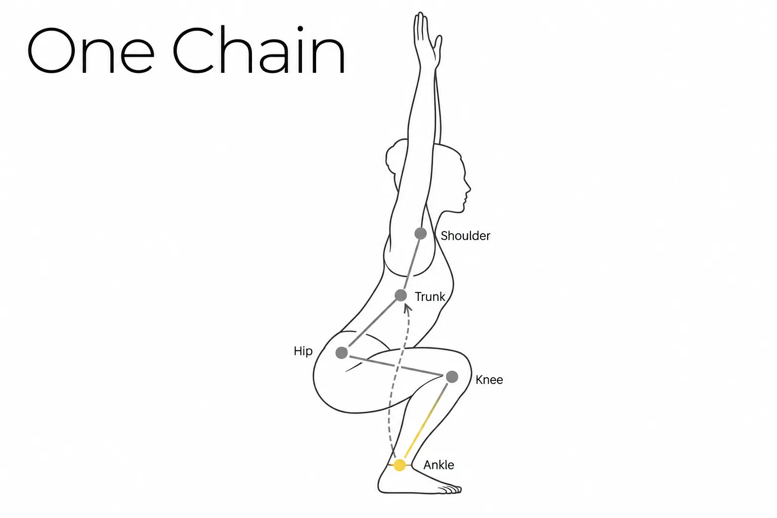 Diagram of an overhead squat figure with linked checkpoints at ankle, knee, hip, trunk and shoulder, showing an ankle restriction surfacing as a compensation higher up the chain